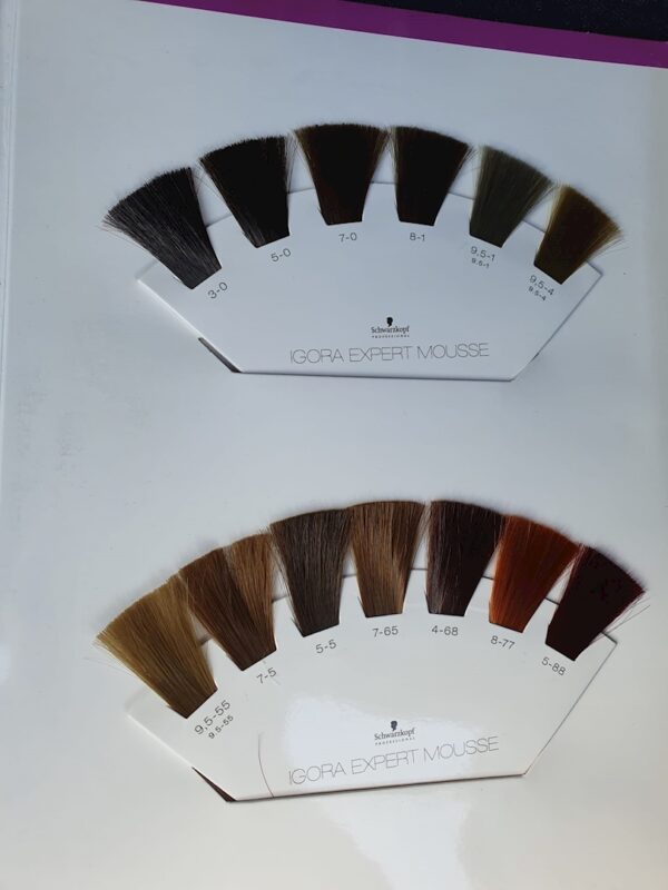 IGORA EXPERT MOUSSE 3-0 - Imagen 2